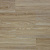 фото Дуб Осенний APT 35-5